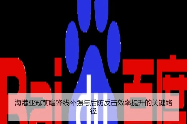 海港亚冠前瞻锋线补强与后防反击效率提升的关键路径 - Germany
